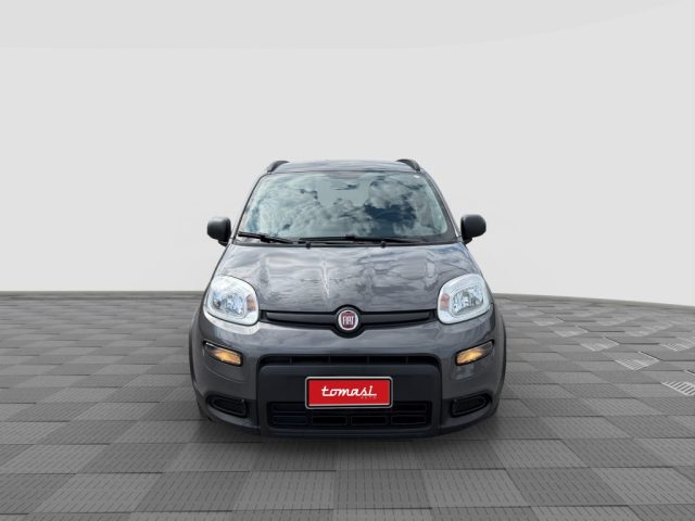 FIAT Panda usata 7