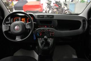 FIAT Panda usata, con Servosterzo