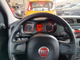 FIAT Panda usata 23