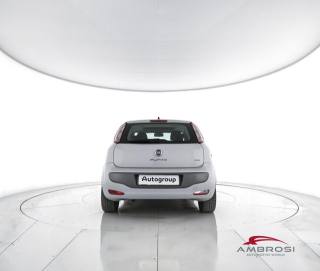 FIAT Punto Evo usata 5