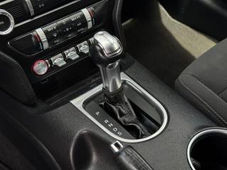 FORD Mustang usata, con Fendinebbia
