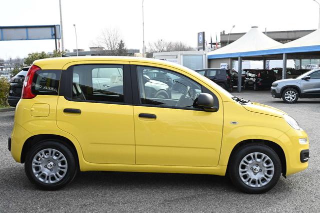 FIAT Panda usata, con Alzacristalli elettrici