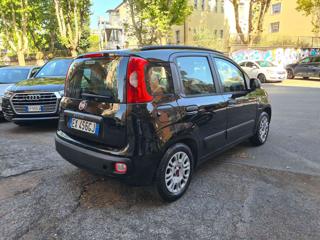 FIAT Panda usata, con Alzacristalli elettrici
