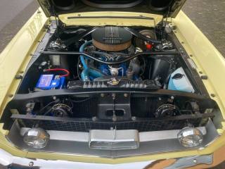 FORD Mustang usata 21