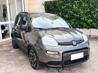 FIAT Panda usata 24