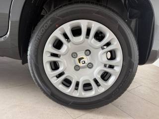 FIAT Pandina usata 11