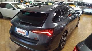 SKODA Octavia usata, con Fendinebbia
