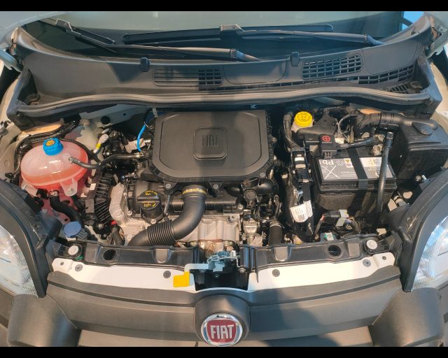 FIAT New Panda usata 19