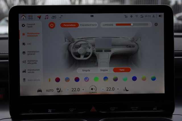 SMART Smart usata, con Bracciolo