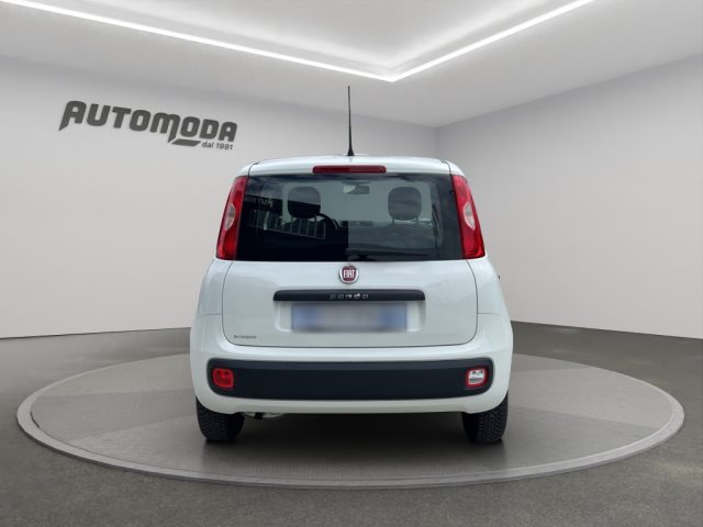 FIAT Panda usata 4