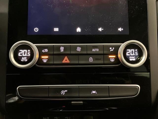 RENAULT Megane usata 19