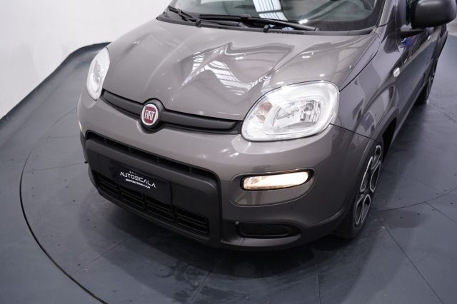 FIAT New Panda usata 22