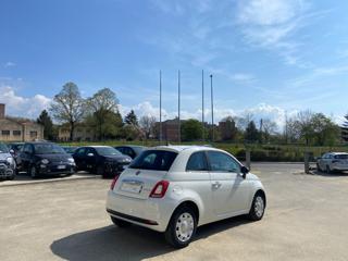 FIAT 500 usata, con Alzacristalli elettrici