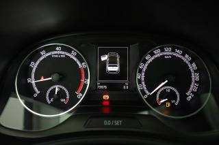 SKODA Fabia usata 6
