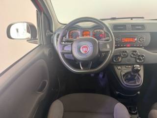 FIAT Panda usata 12