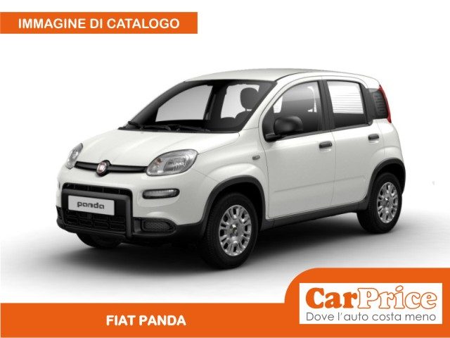 FIAT Panda usata, con ABS