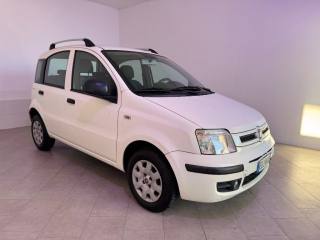FIAT Panda usata 1