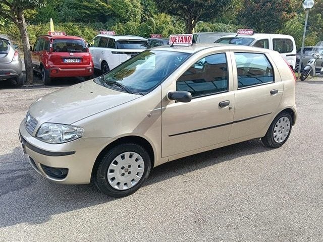 FIAT Punto usata 19