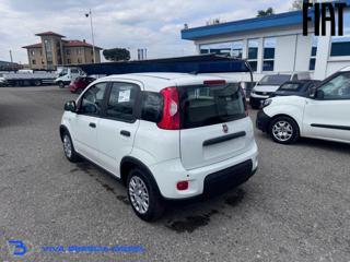 FIAT Panda usata, con Alzacristalli elettrici