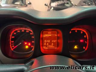 FIAT Panda usata, con Controllo trazione