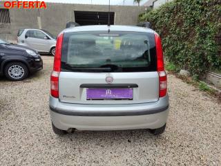 FIAT Panda usata 21