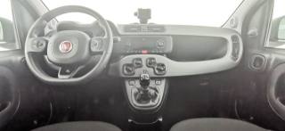 FIAT Panda usata 32