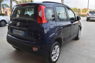 FIAT Panda usata 13