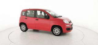 FIAT Panda usata 20