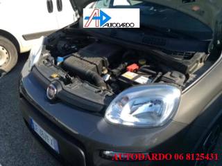 FIAT Panda usata 12
