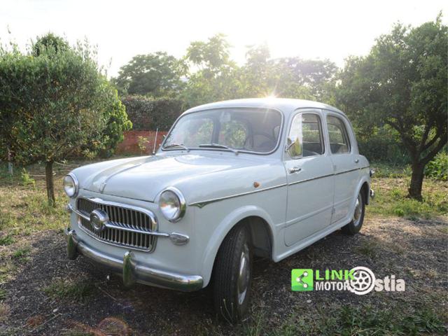 FIAT 1100 usata 2