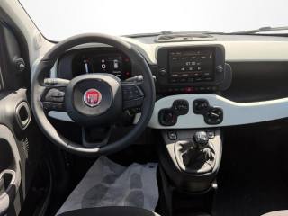 FIAT Panda usata, con Servosterzo