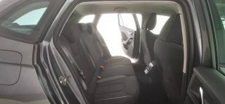 SKODA Scala usata 56