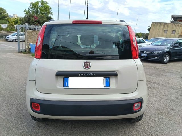 FIAT Panda usata 7