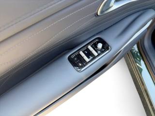 GEELY Starray EM-i usata 14