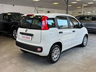 FIAT Panda usata, con Alzacristalli elettrici