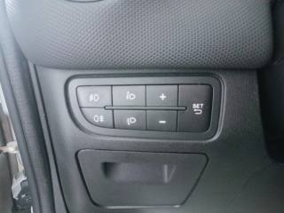 FIAT Punto usata, con Chiusura centralizzata telecomandata