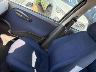 FIAT Punto usata 12