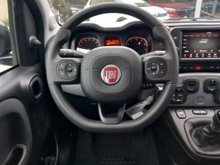 FIAT Panda usata 17