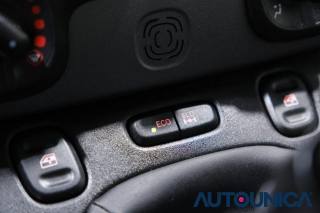 FIAT Panda usata 29