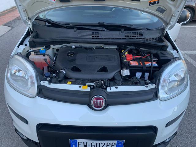 FIAT Panda usata, con Airbag testa