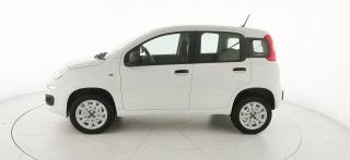 FIAT Panda usata, con Alzacristalli elettrici