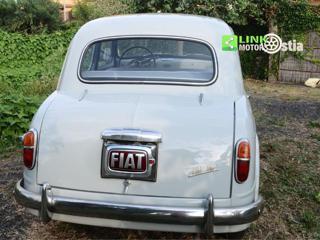 FIAT 1100 usata 4