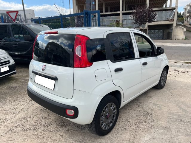 FIAT Panda usata 5