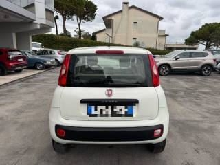 FIAT Panda usata, con Chiusura centralizzata