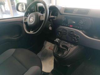 FIAT Panda usata 34