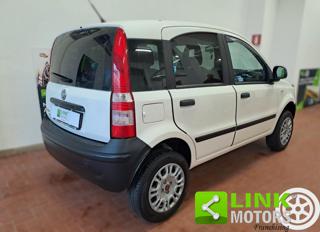 FIAT Panda usata 7