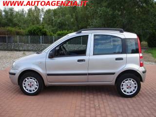 FIAT Panda usata 2