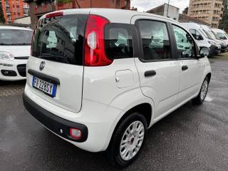 FIAT Panda usata, con Alzacristalli elettrici