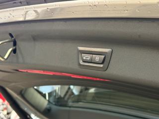 MINI Countryman usata, con Controllo vocale