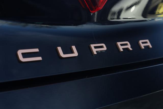 SEAT Leon usata, con Bracciolo